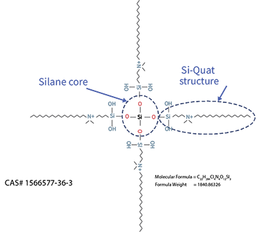 infoGraph_image